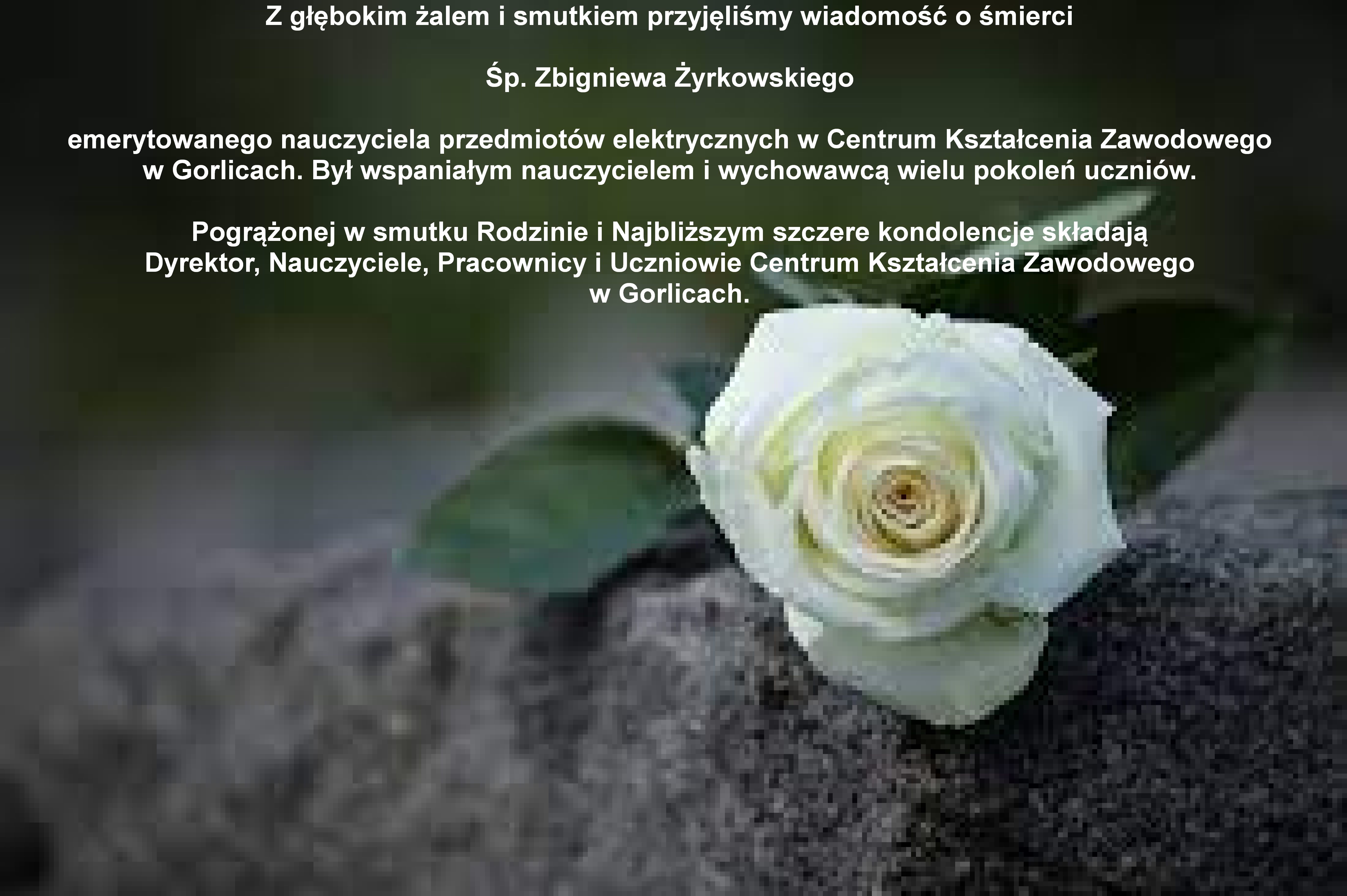 indeks tekst